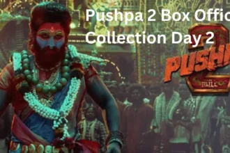 Pushpa2 Box office collection day 2